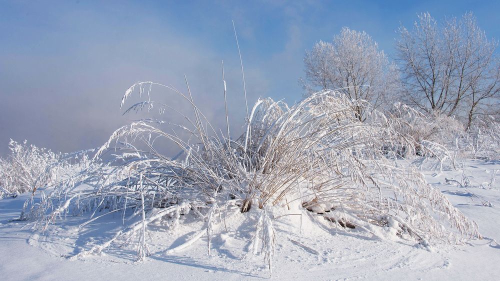 Пришли морозы