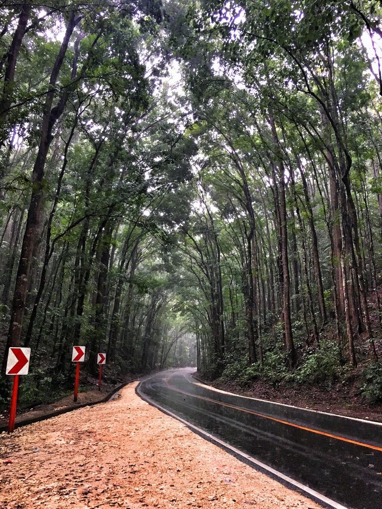 Photograph by Gerald Reyes