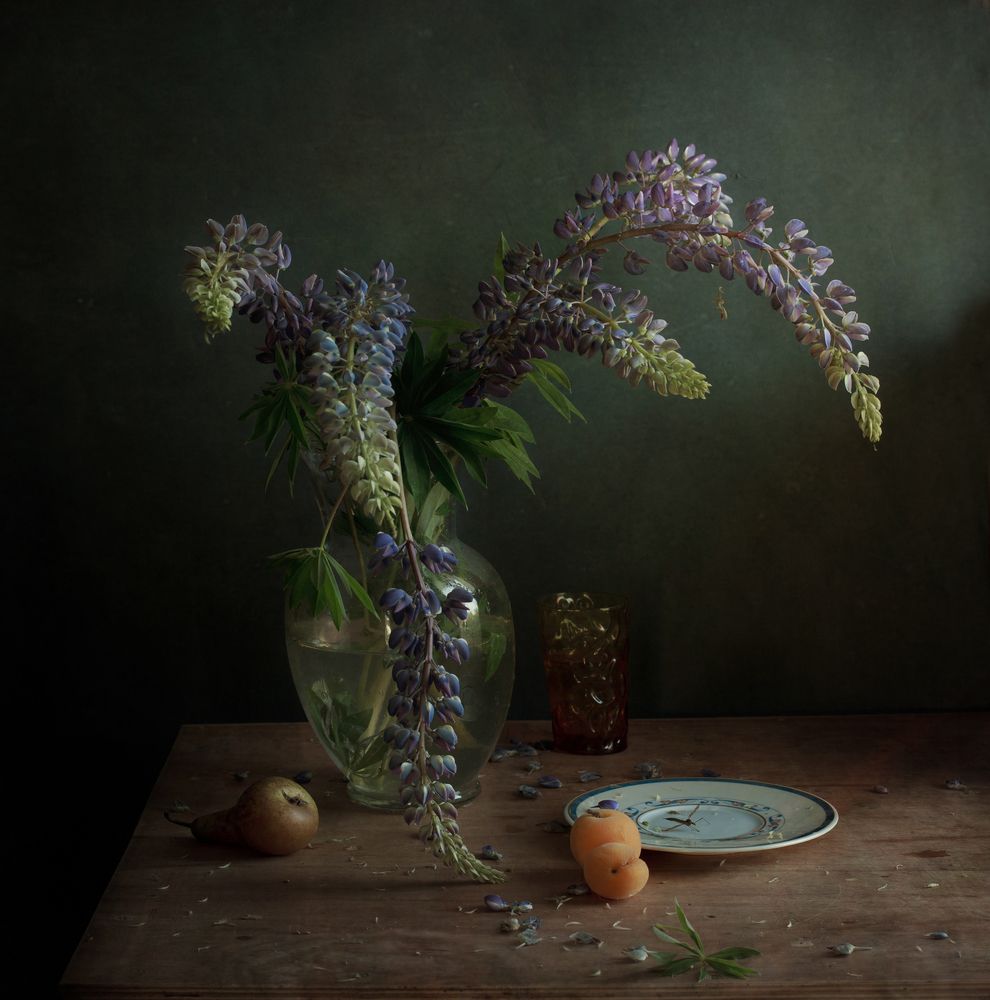 любимые люпины