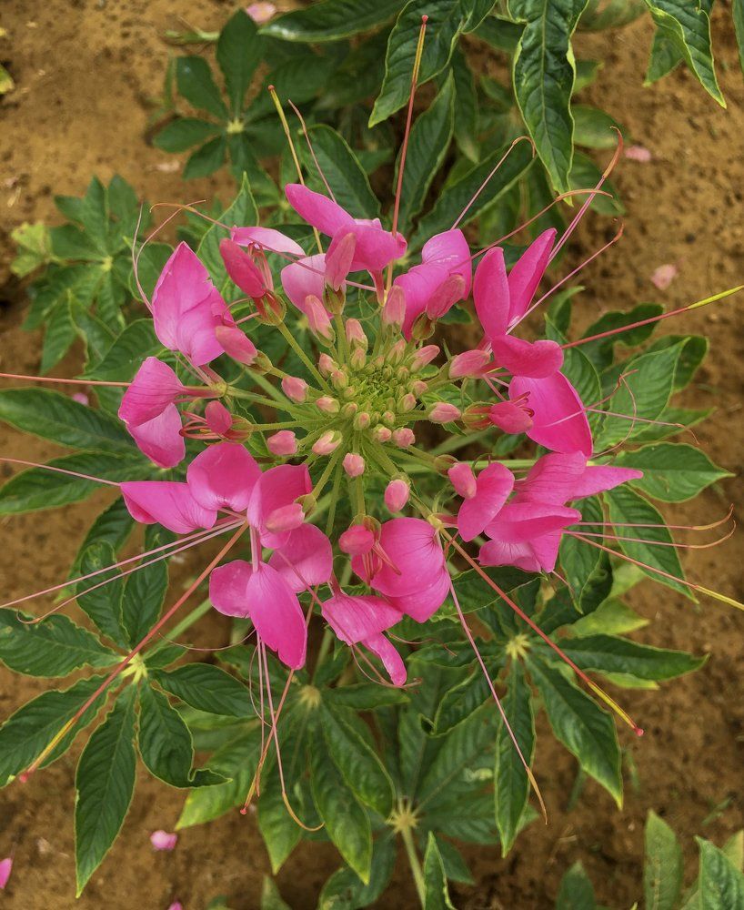 Photograph by Gerald Reyes