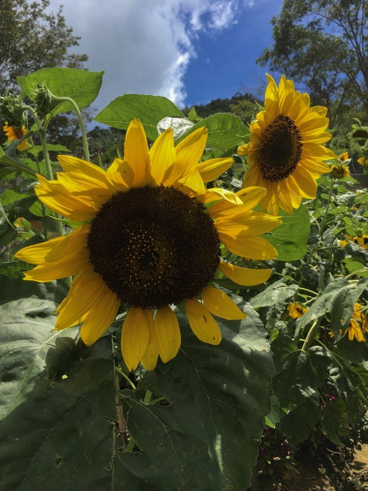 Photograph by Gerald Reyes