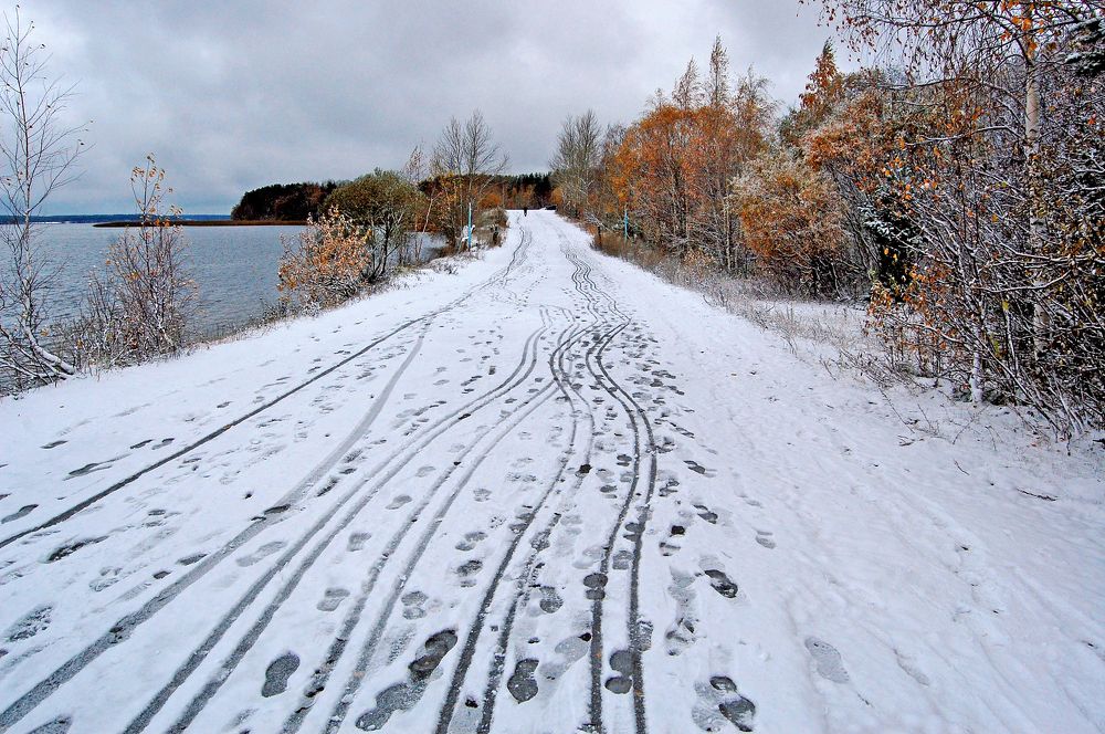 По первому снегу