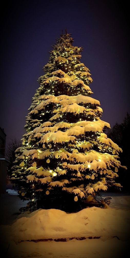 Lights of a Winter Miracle