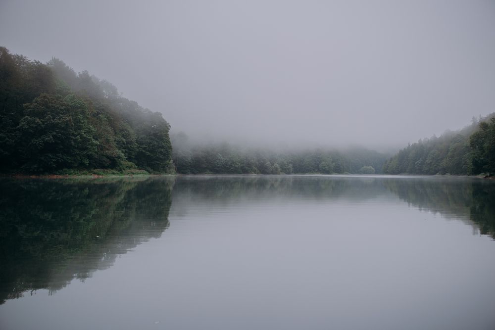 Photograph by Инна Фокина