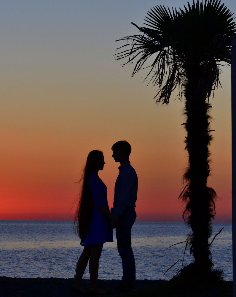 Свидание под пальмой