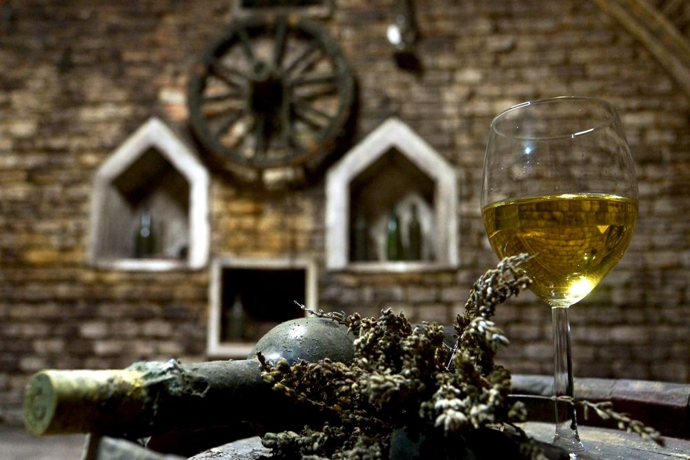 Cup of wine at cellar