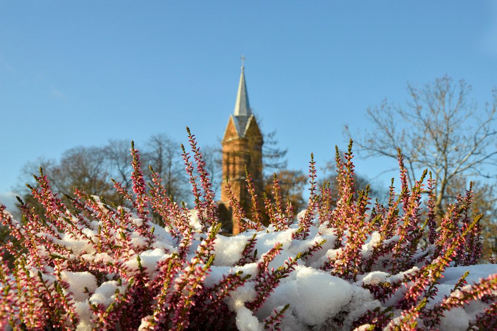 Photograph by Inesa Juk