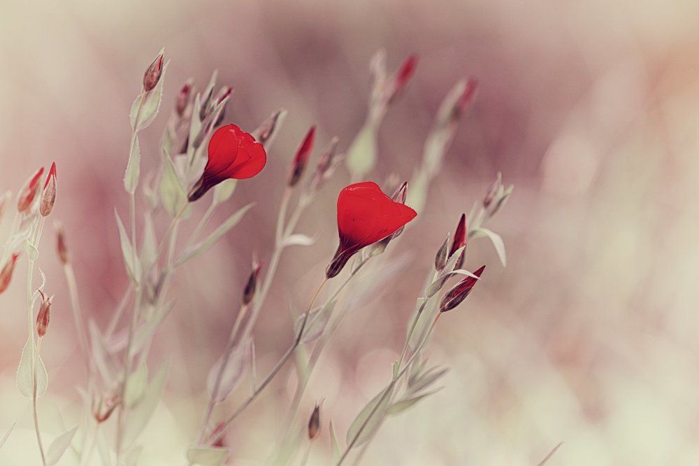 Абстракция