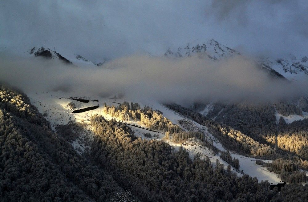 Утренний свет