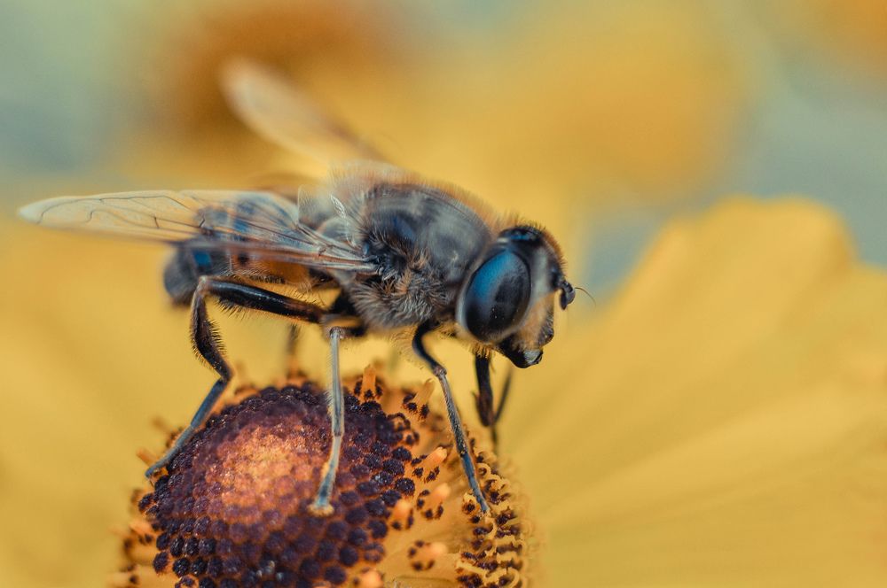 Photograph by Олеся zme