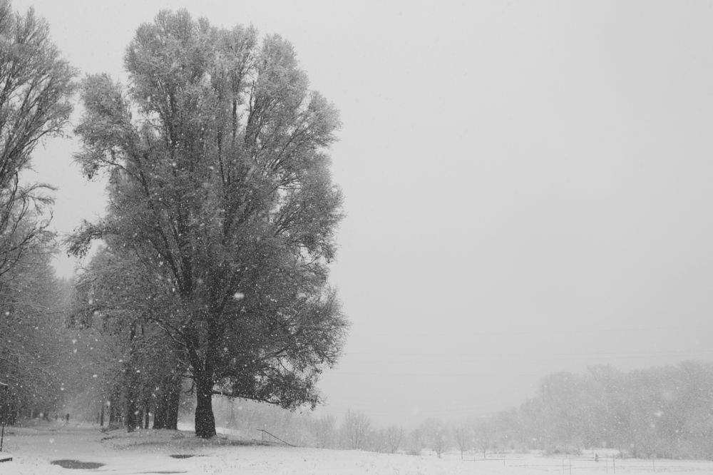 Зимний туман