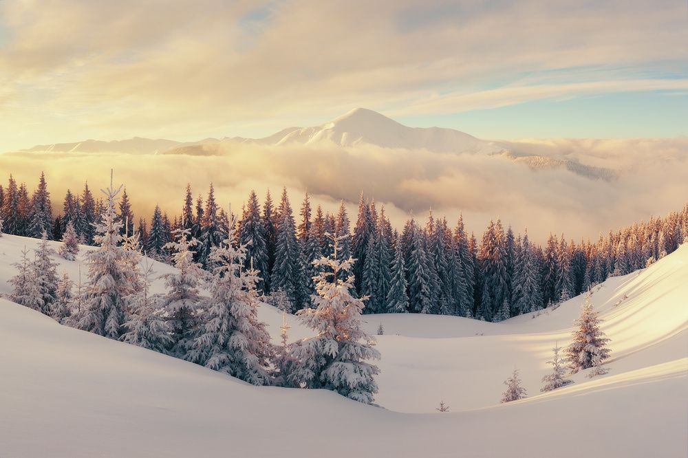 Зима в Карпатах