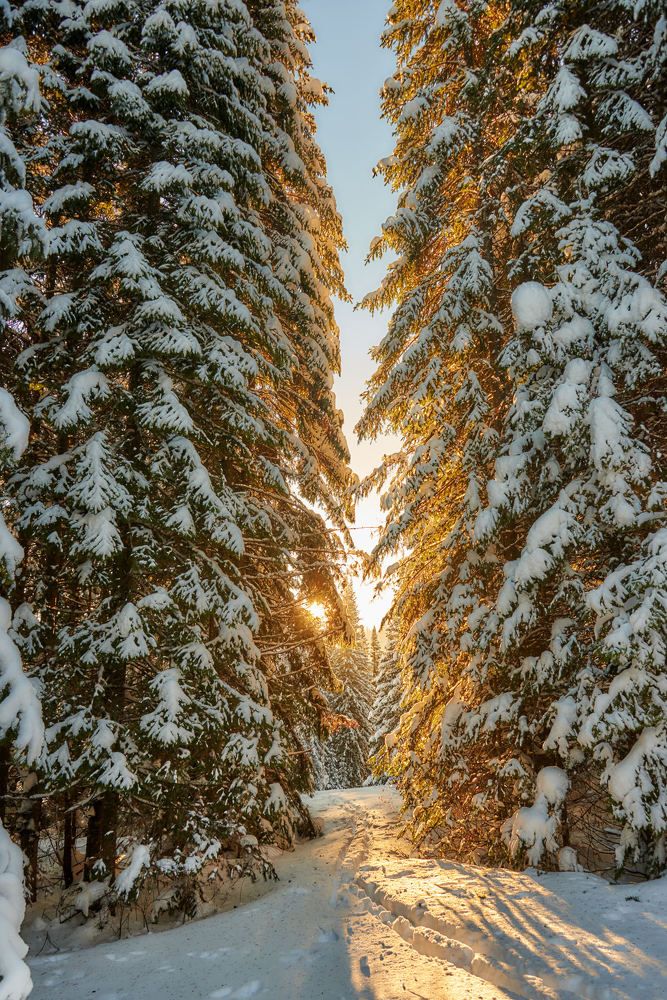 Огненные врата