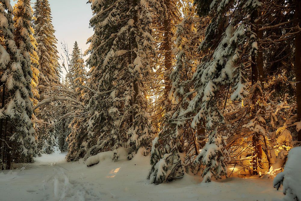 Photograph by Владимир Малевич