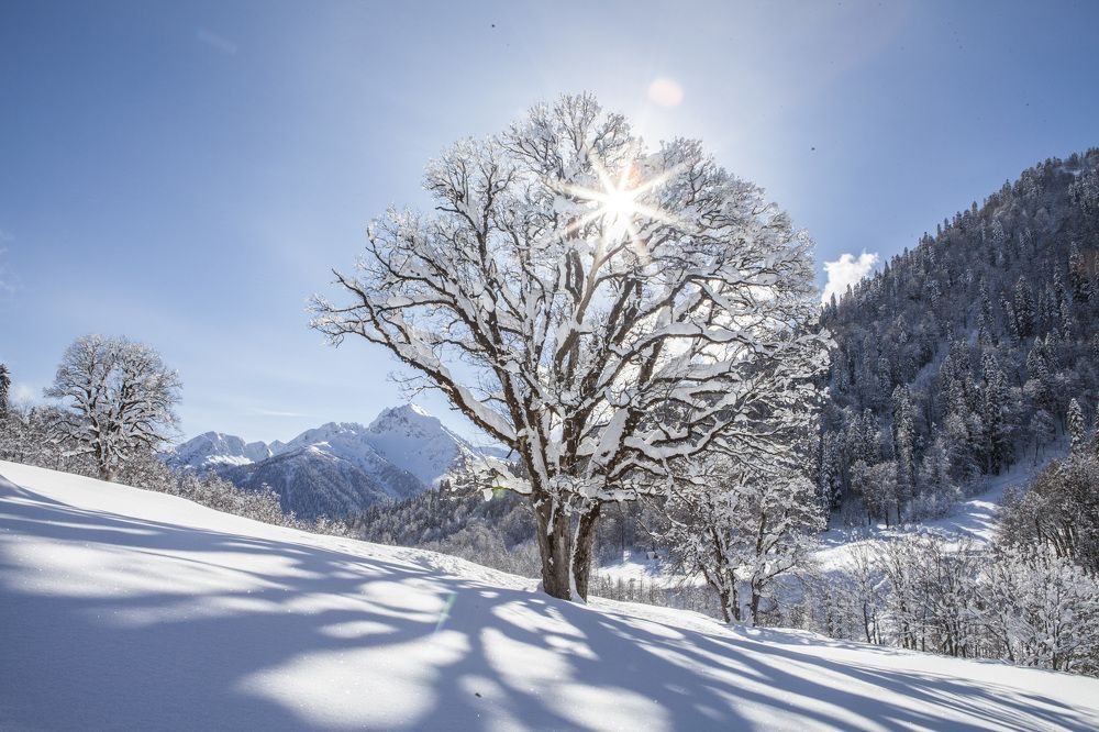 Auadkhara. Highland Abkhazia.