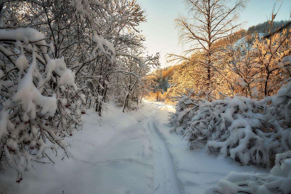 Photograph by Владимир Малевич