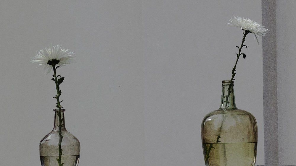 Красота так важна для человека.