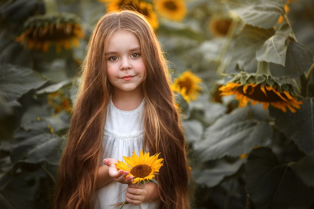 Солнышко подсолнушко