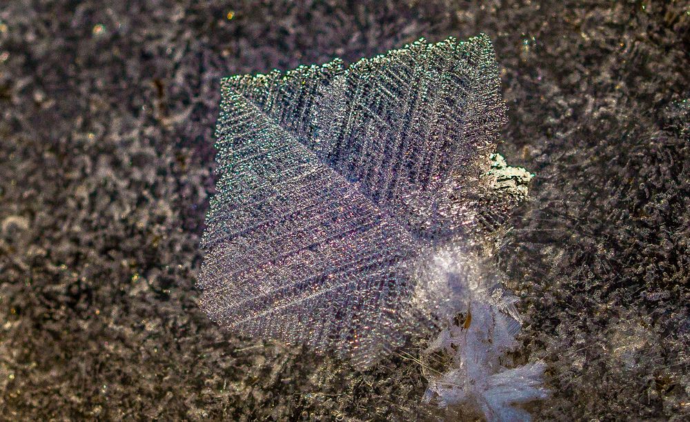 Ледяная фантазия