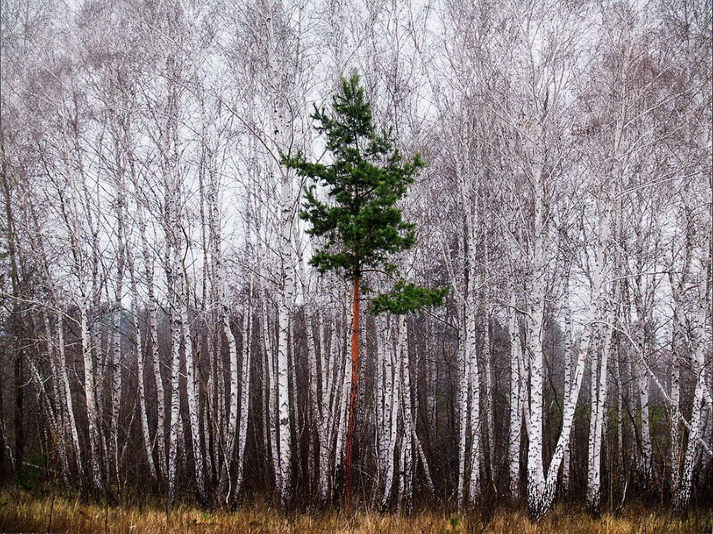 Затерялась.