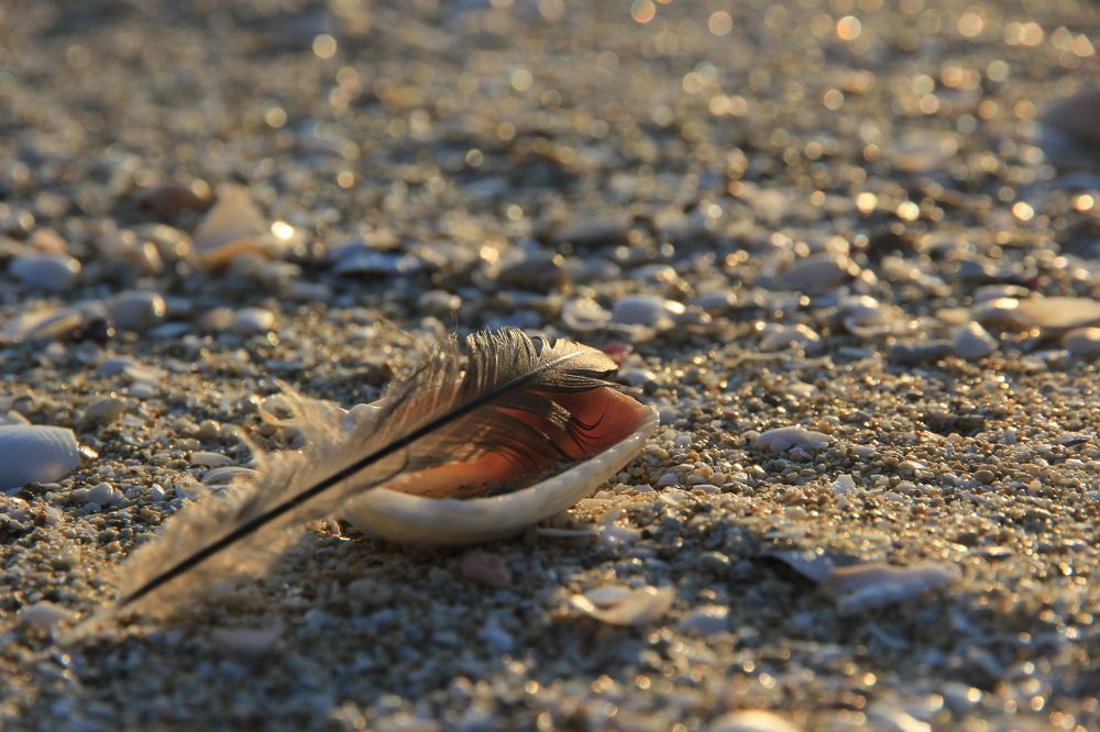 Морской пляж