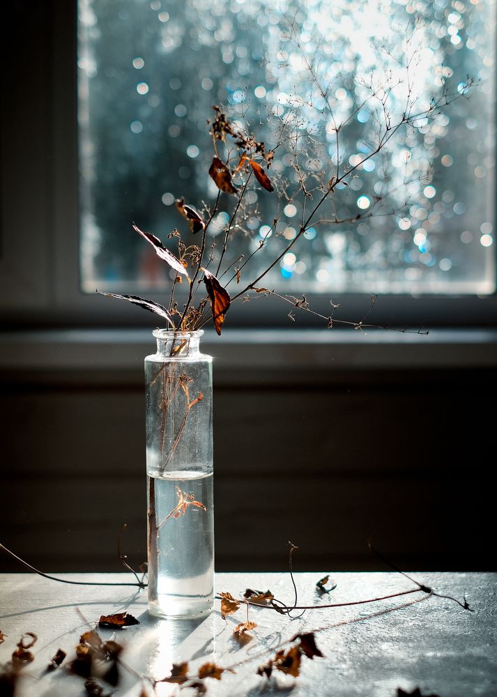 Photograph by Наталья Никитина