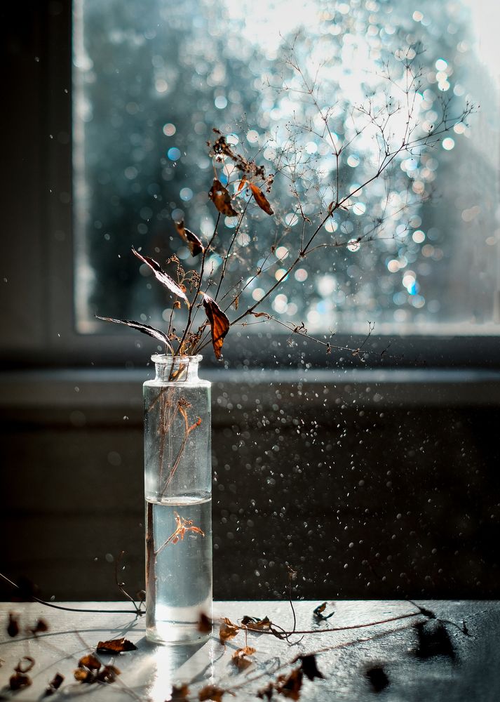 Photograph by Наталья Никитина