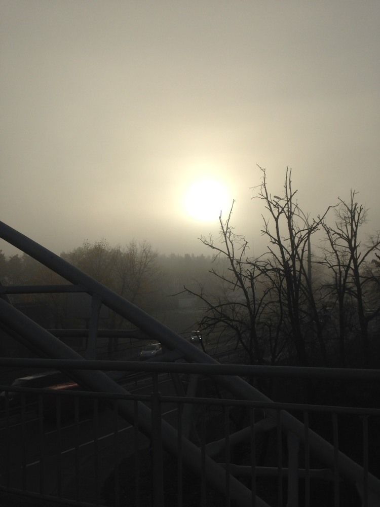 Photograph by Юлия