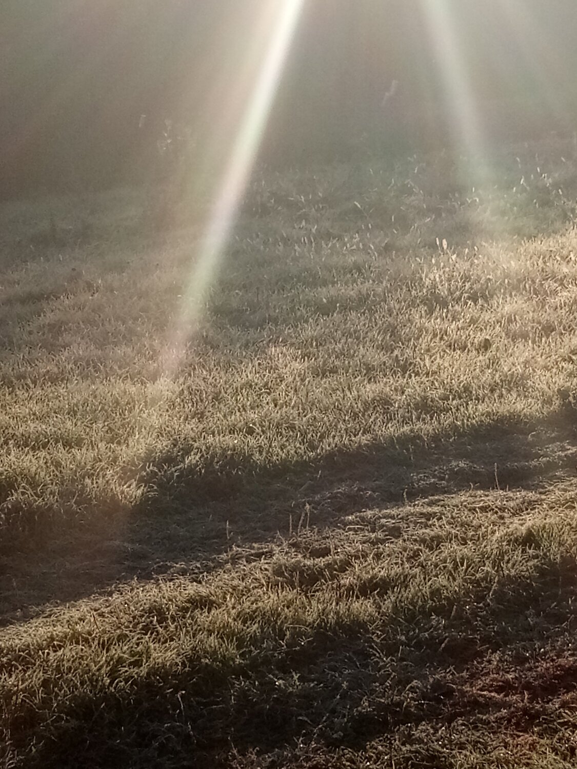 Photo #2804643