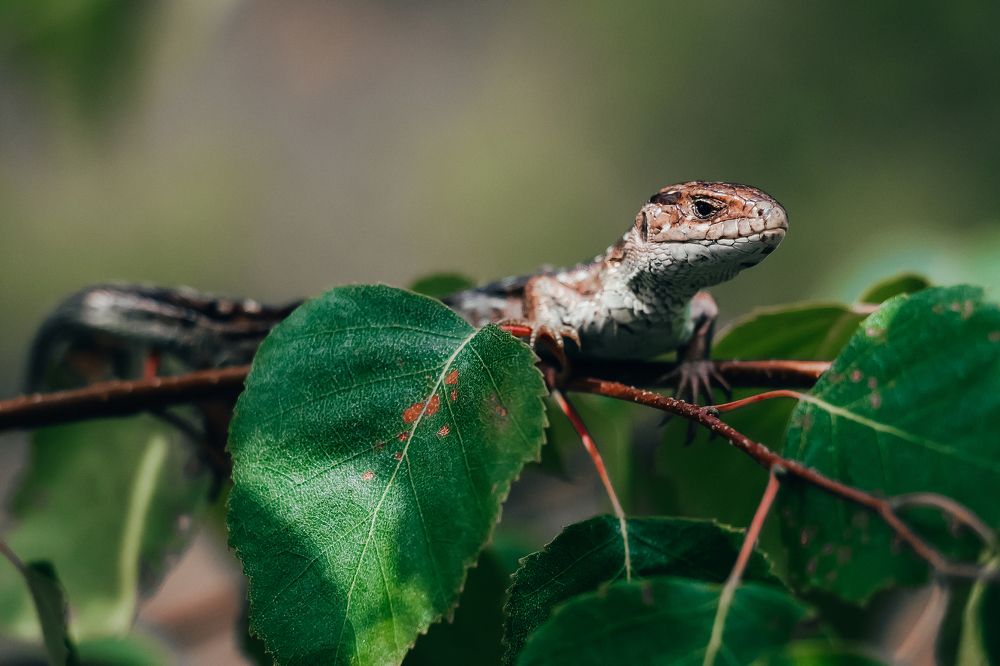 Photograph by Геннадий Климов