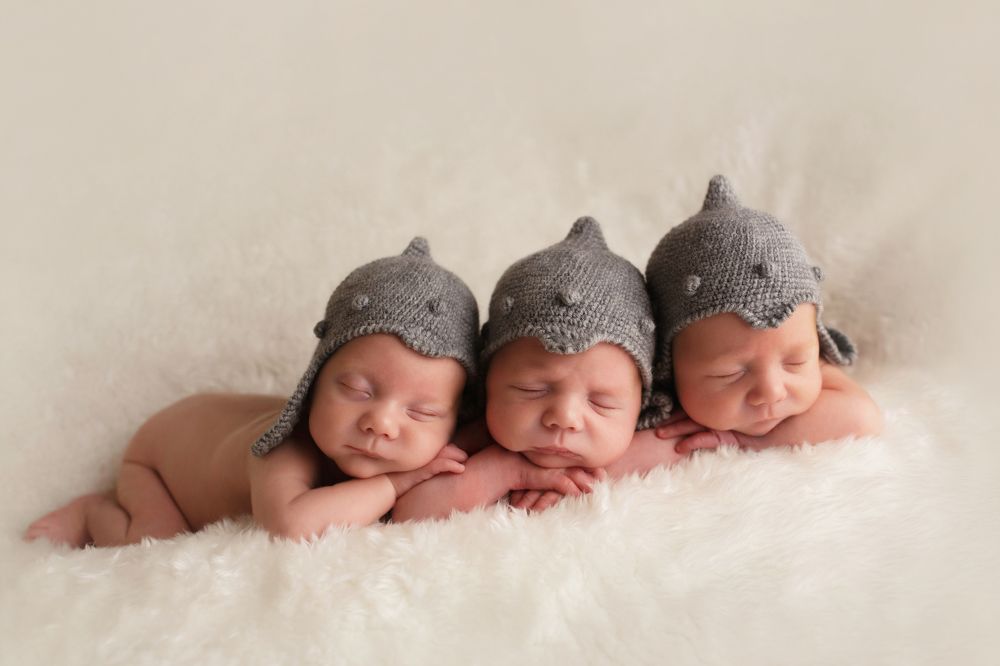 три богатыря