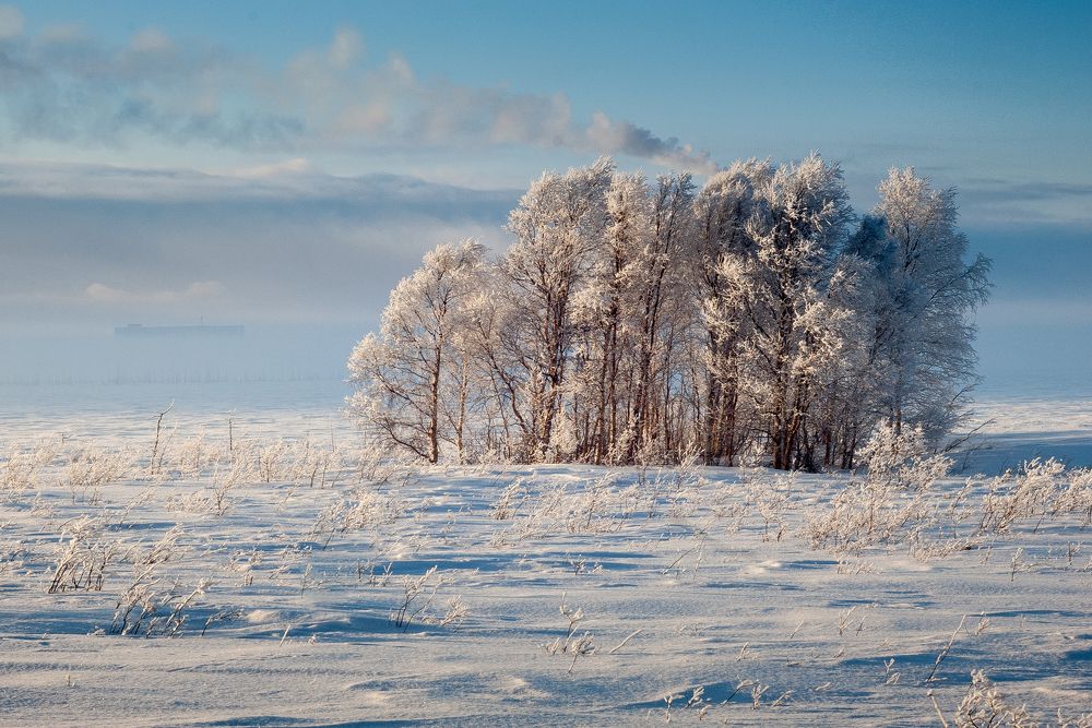 Морозная тундра