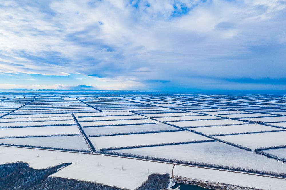 Зимние посевы