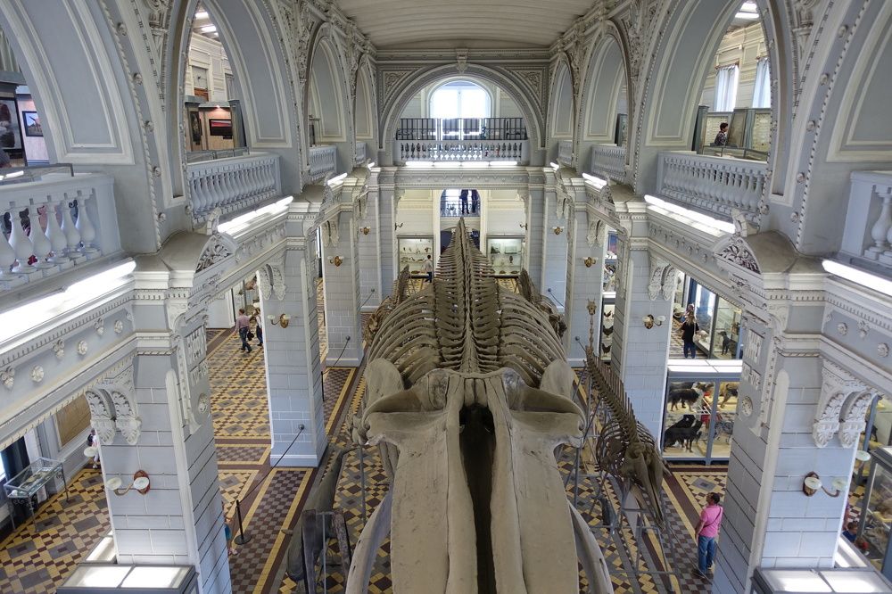 Гармония симметричных форм