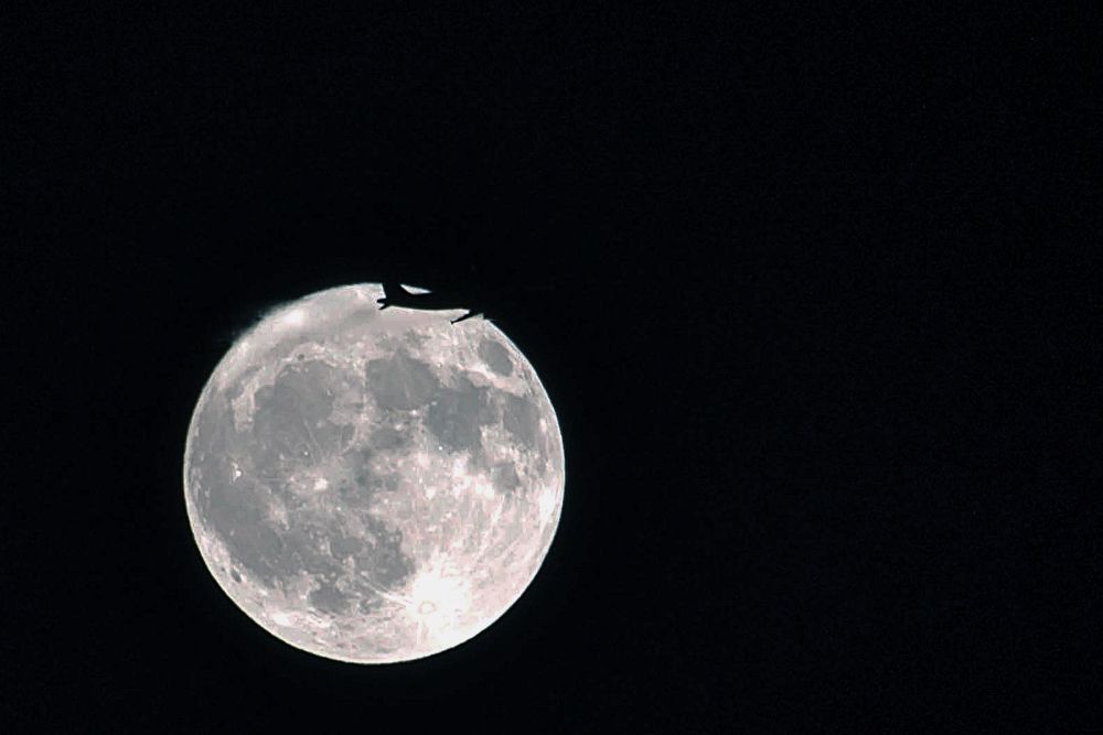 Самолет на луну