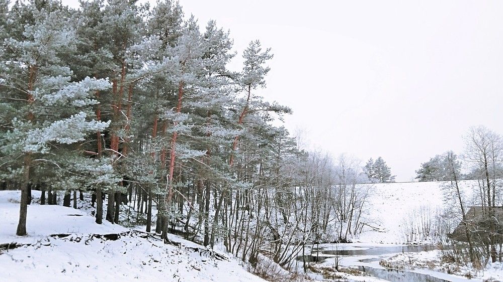 Photograph by Ирина Корнева