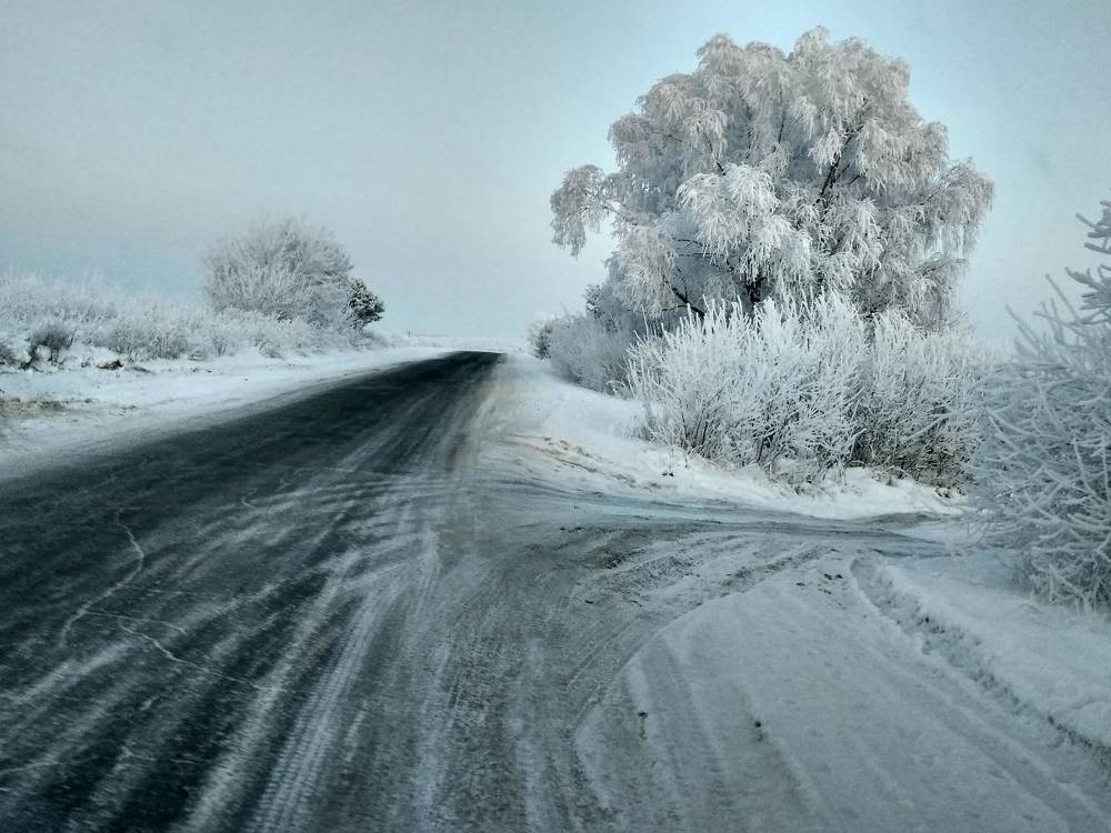 Красота рядом