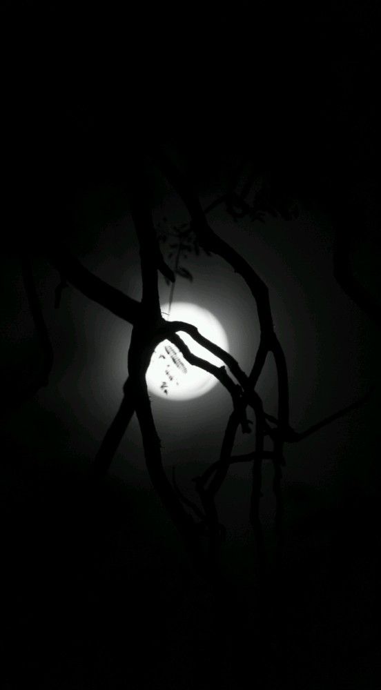 the magic of the night