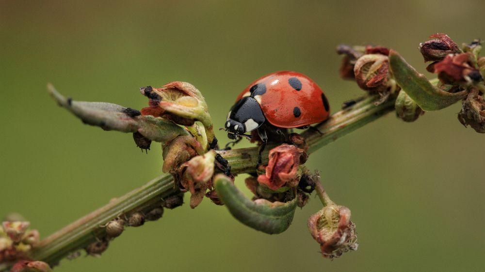 Photograph by Selma Kotancı
