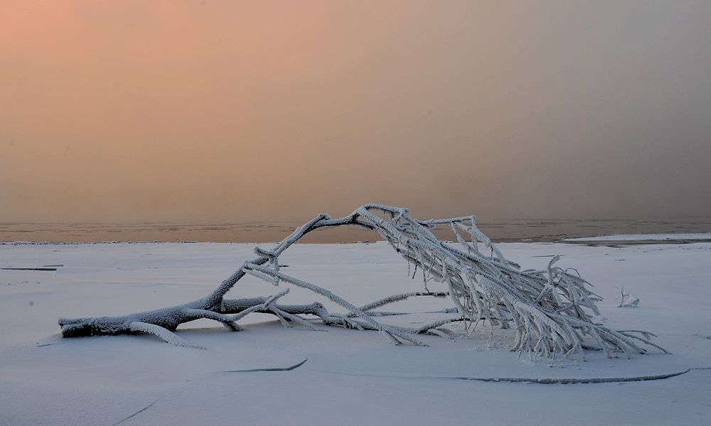 Замороженная