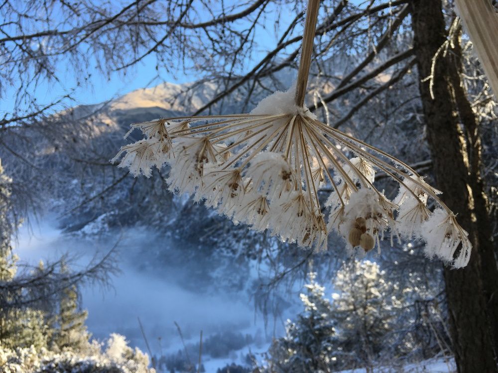 Горы Киргизии