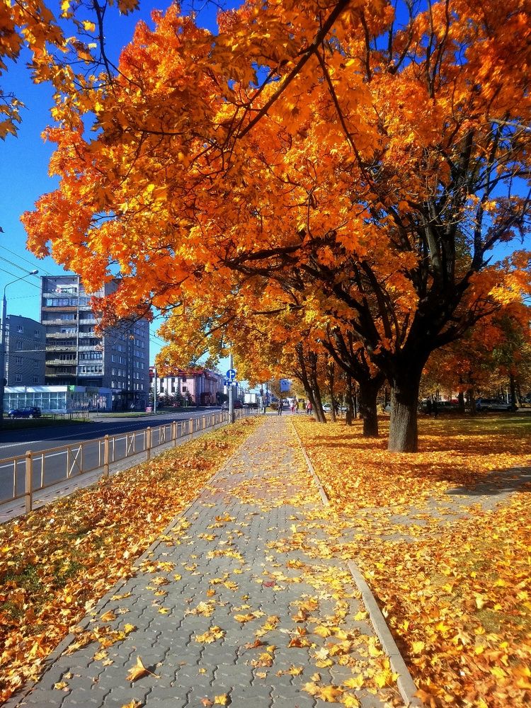 Осень в Гродно