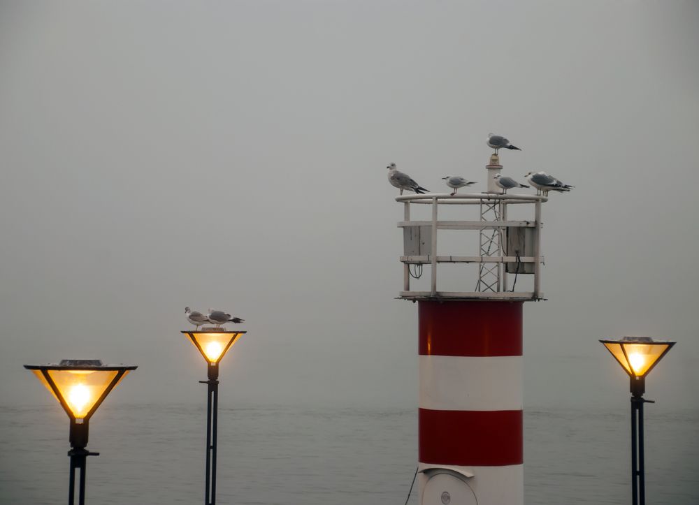 Маяк, фонари, и чайки.