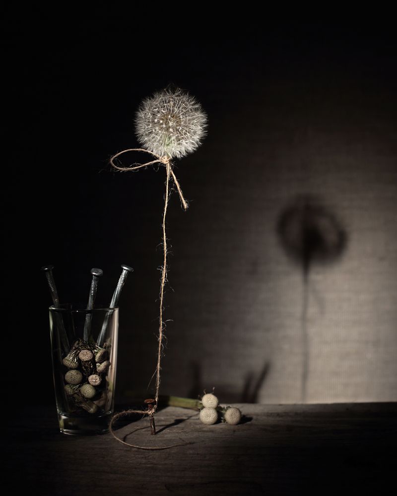 Photograph by Вадим Морозов