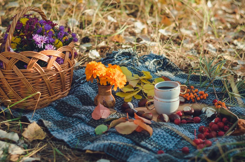 Photograph by Карпова Валентина