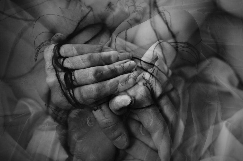 Конвергент