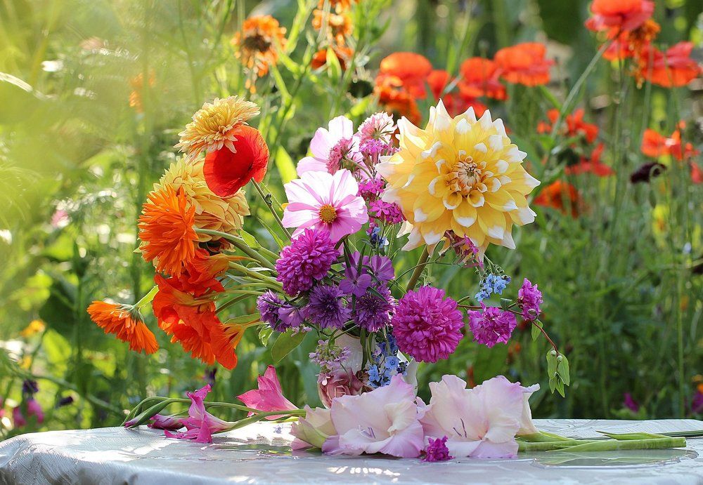 Цветы на фоне цветов