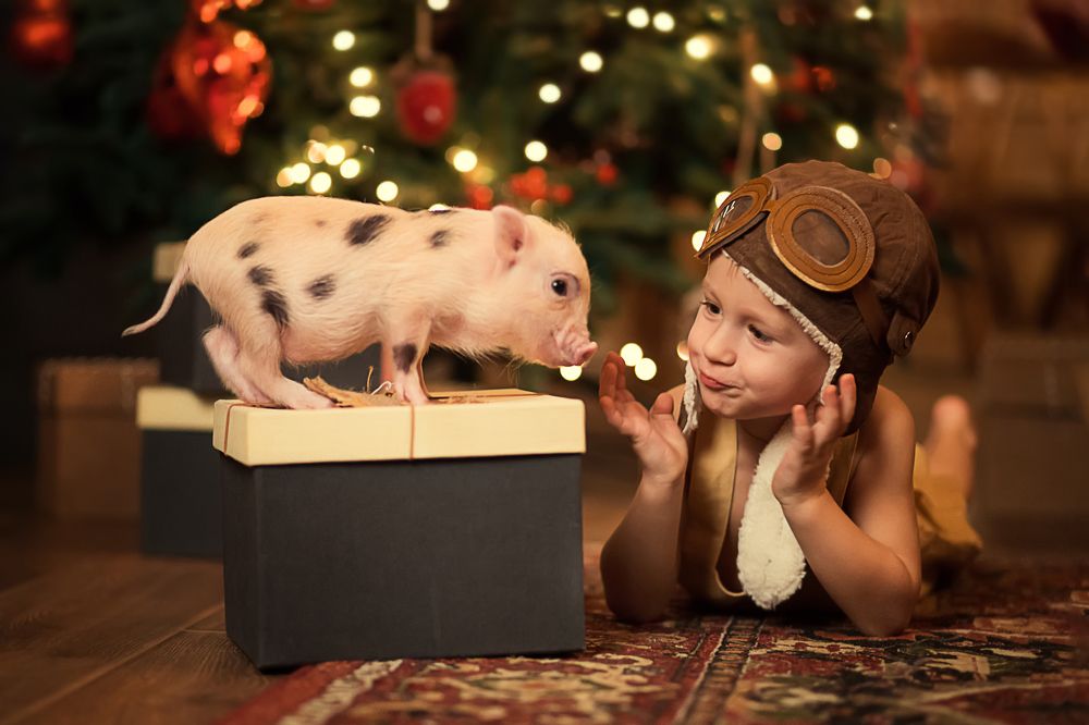 Photograph by Юлия Бизяева