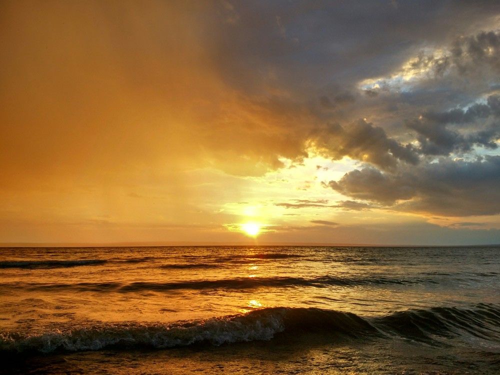 Photo #2806536