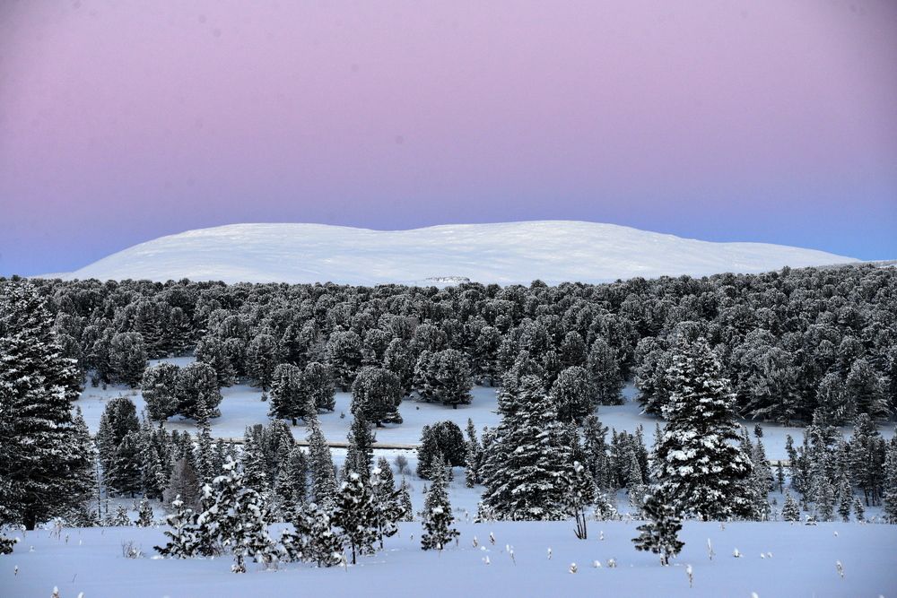 Гора Сарлык